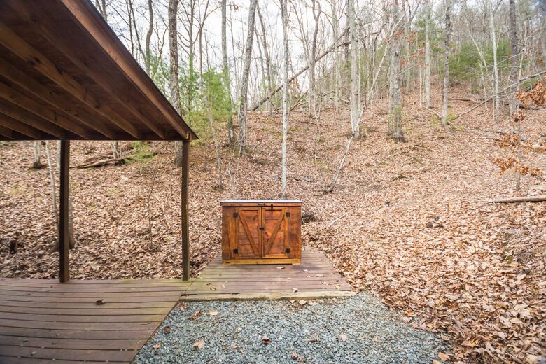 Luxe Lodge Near Downtown Blue Ridge - Blue Ridge, Georgia