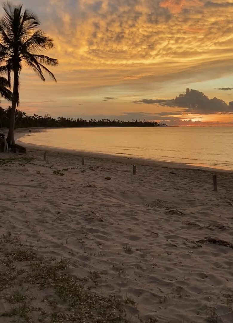 Dorado Beach 4 Bedroom House with Access to Ritz-Carlton Resort Amenities - Dorado, Puerto Rico