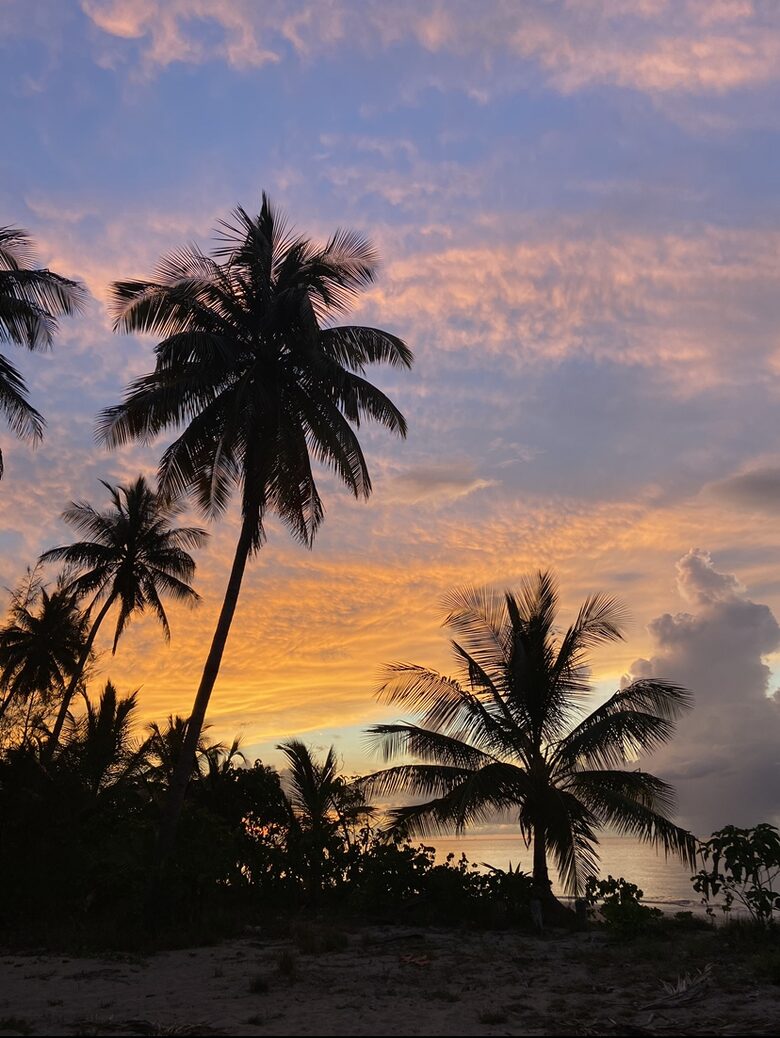 Dorado Beach 4 Bedroom House with Access to Ritz-Carlton Resort Amenities - Dorado, Puerto Rico