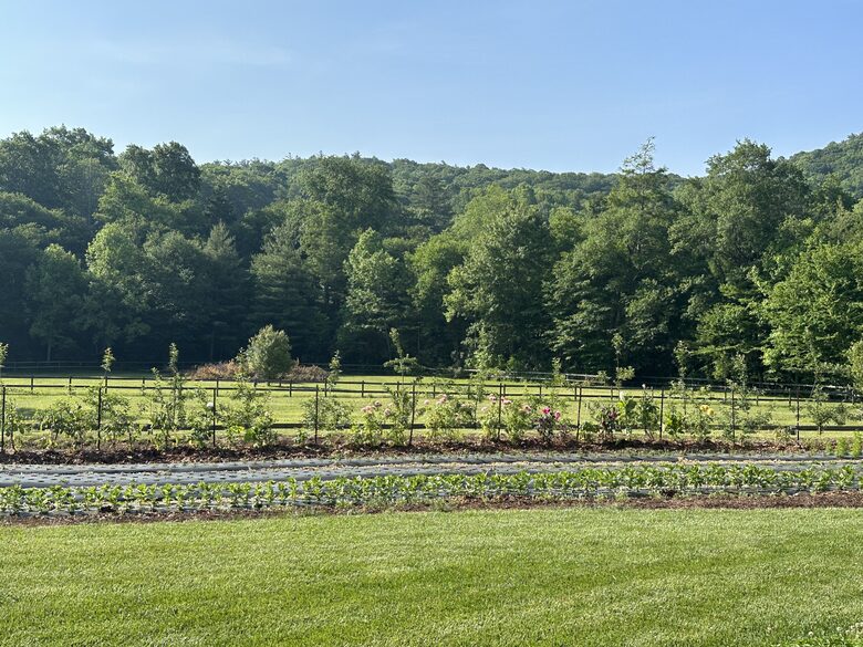 Two Moon | Elegant Mountain Home with Great Community Amenities - Cashiers, North Carolina