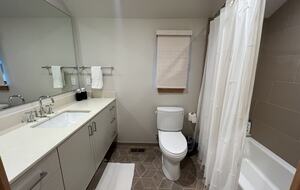 Mountain Modern Home Minutes From Ski Resorts and Lake Tahoe - Truckee, California
