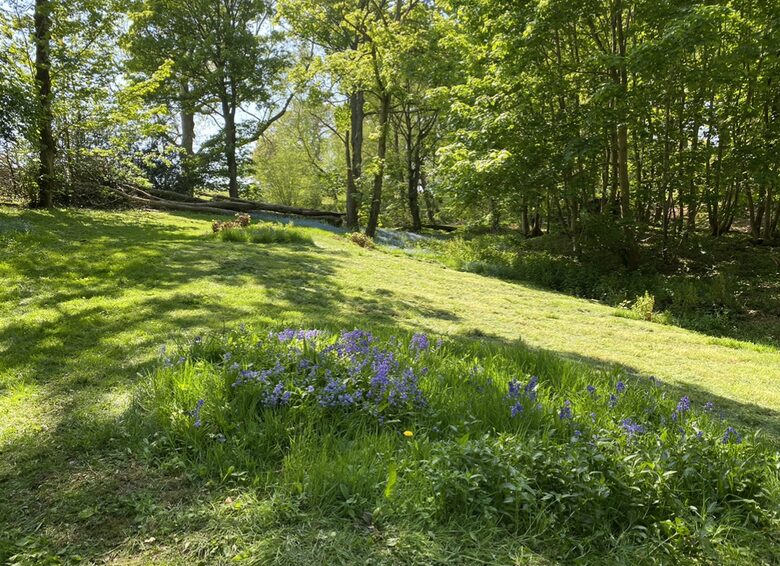 Stunning parkland gardens