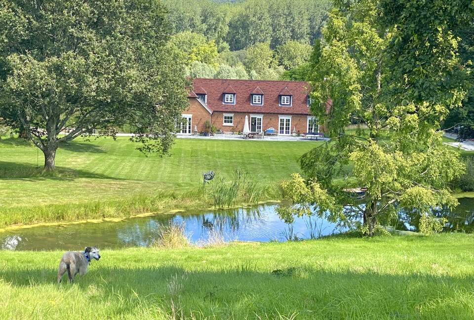 From above the pond