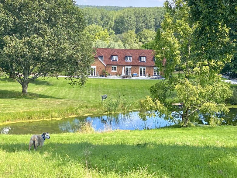 From above the pond