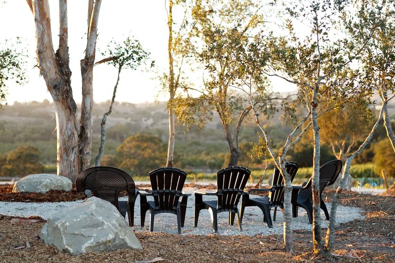 Deboem Vineyard | 20 Acre Organic Vineyard - Ballard, California