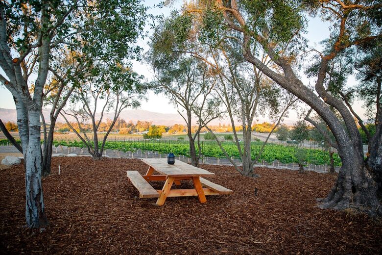 Deboem Vineyard | 20 Acre Organic Vineyard - Ballard, California