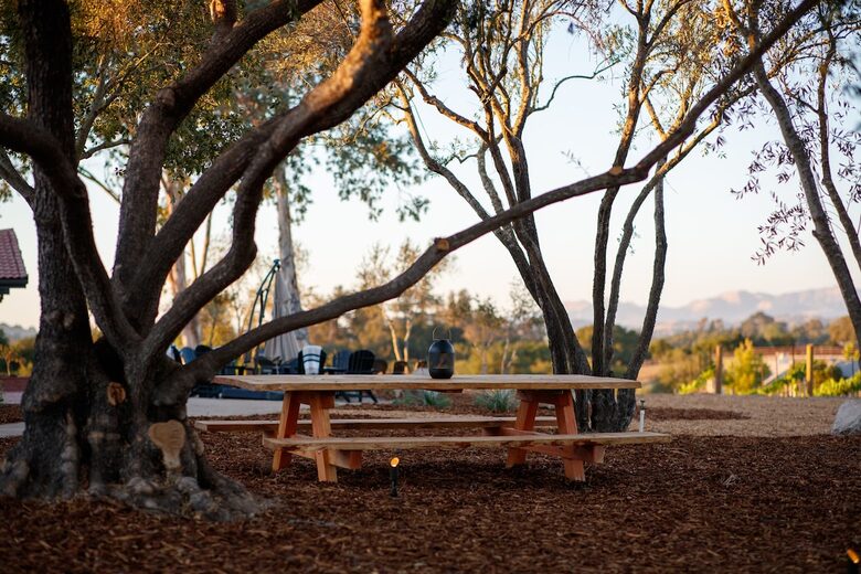 Deboem Vineyard | 20 Acre Organic Vineyard - Ballard, California