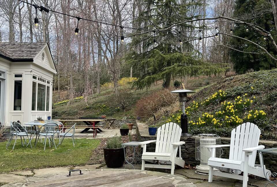 Back garden
