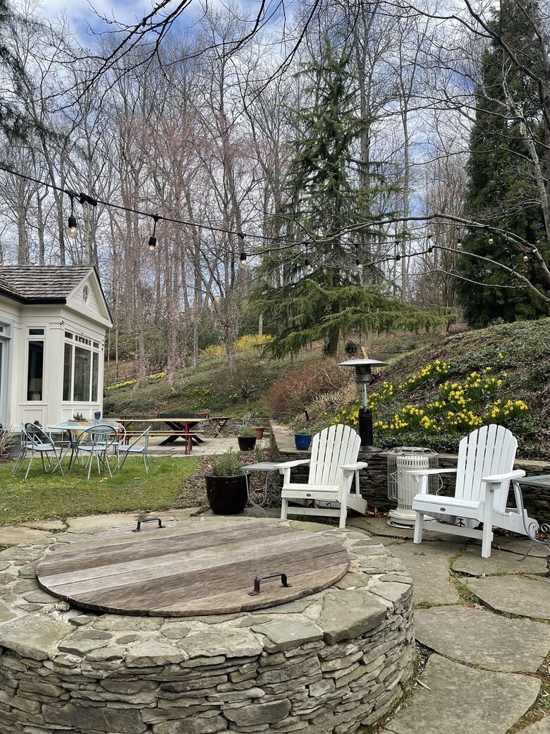 Back garden