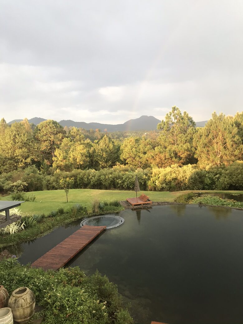 View from fire pit