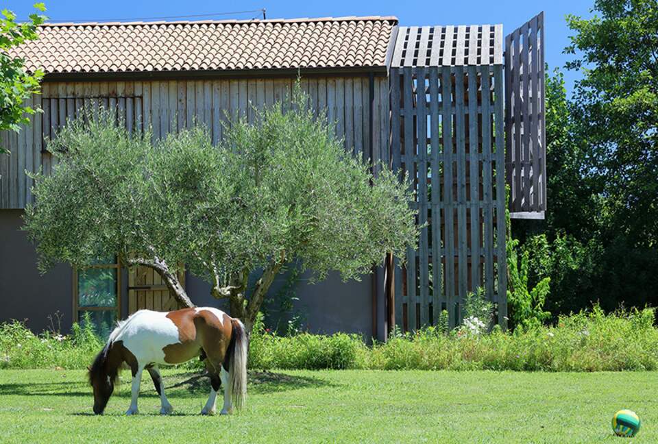 La Cicala | Forte Dei Marmi - Pietrasanta, Italy