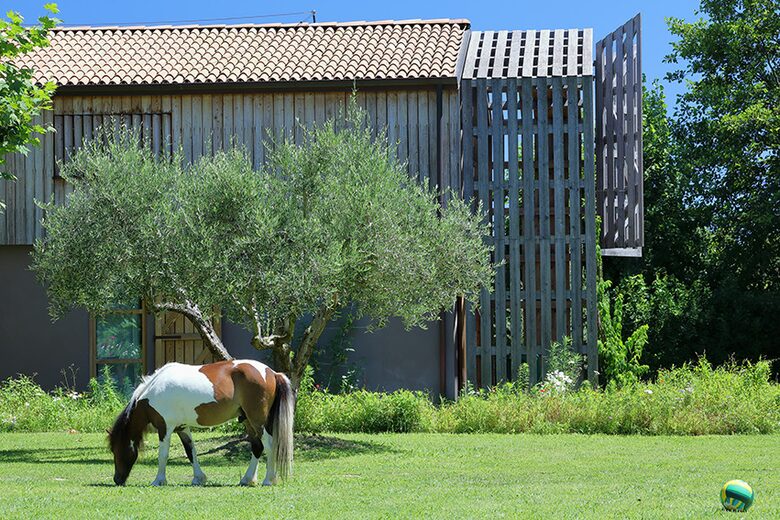 La Cicala | Forte Dei Marmi - Pietrasanta, Italy