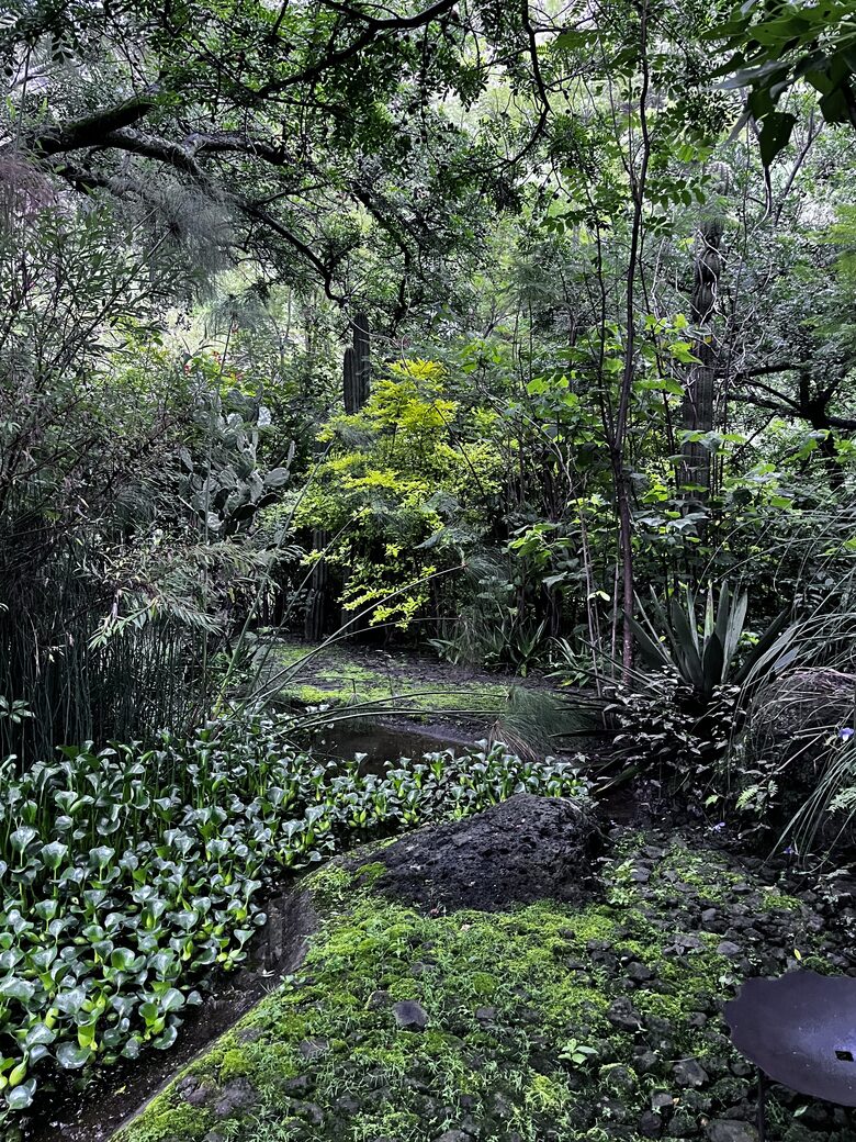 Modern Mexican | Meditarrean style with a Pickleball court, outdoor activities & near cultural sites - Malinalco, Mexico