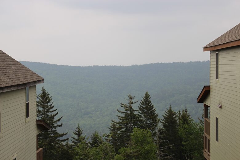 Black Bear Crossing #35 | Ski In/ Ski Out, Steps to Black Bear and Powder Ridge - Snowshoe, West Virginia