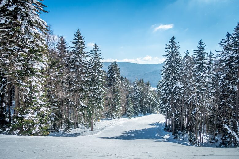 Black Bear Crossing #35 | Ski In/ Ski Out, Steps to Black Bear and Powder Ridge - Snowshoe, West Virginia