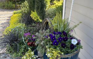 Waterfront retreat on Vashon; with a beach and hot tub! - Vashon, Washington