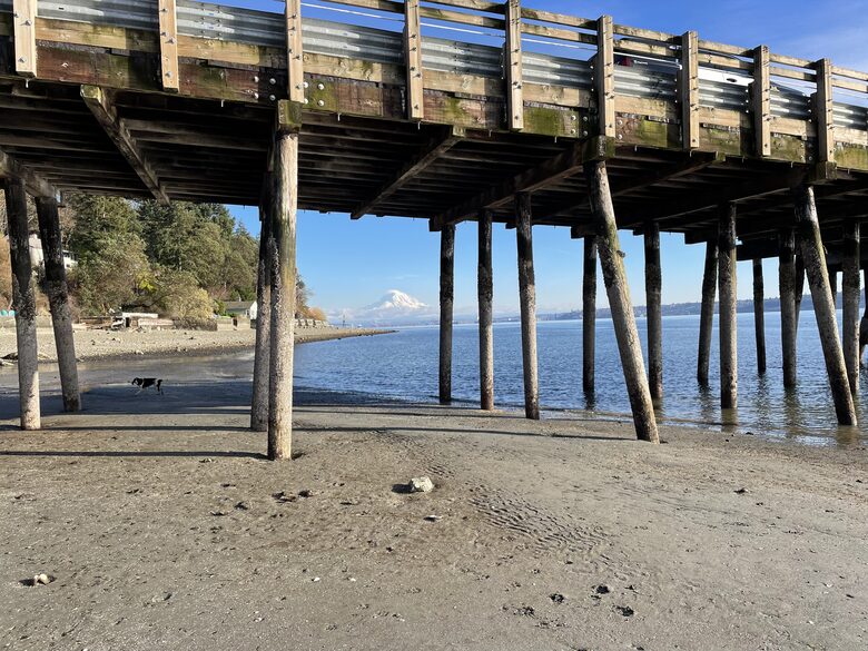 Waterfront retreat on Vashon; with a beach and hot tub! - Vashon, Washington