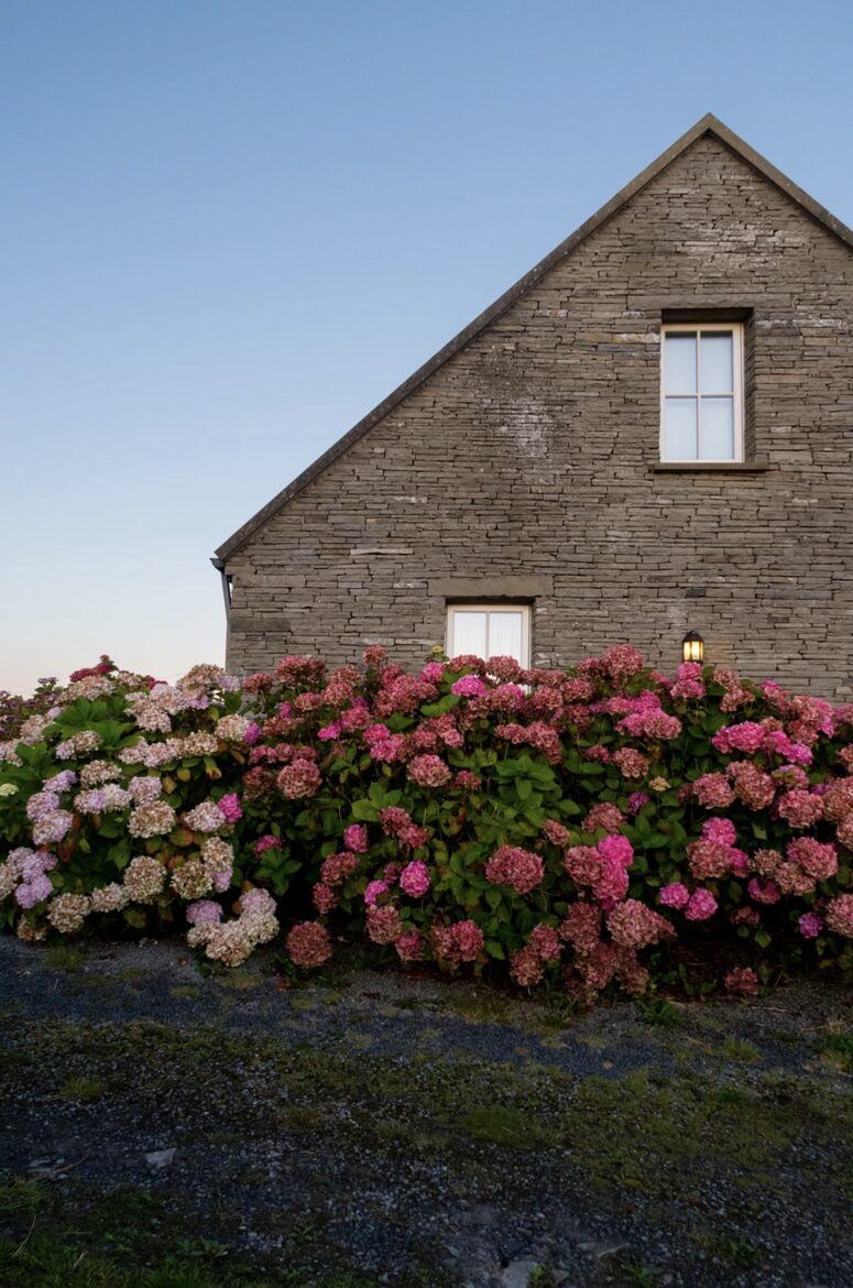 Cottage with breathtaking views atop the Cliffs of Moher - Doolin, Ireland