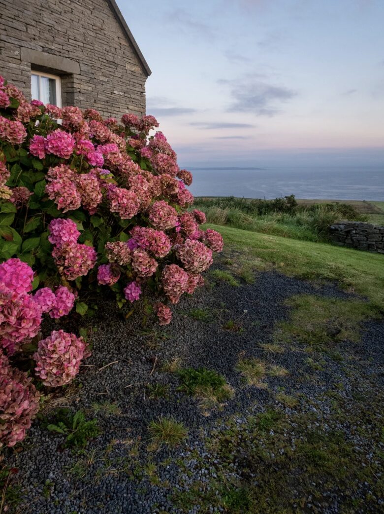 Cottage with breathtaking views atop the Cliffs of Moher - Doolin, Ireland