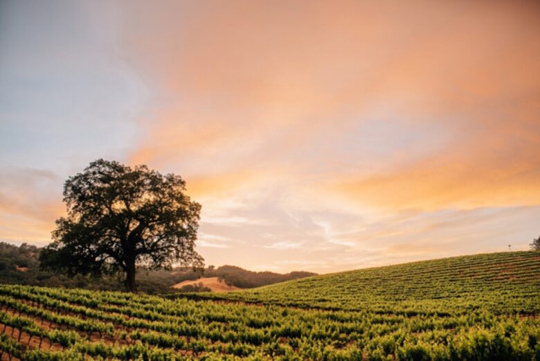 Classic Americana Farmhouse - Paso Robles, California