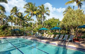 Coconut Cove, Bonita Springs - Studio - Bonita Springs, Florida
