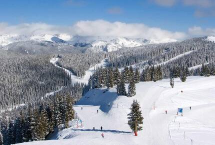 The Residences at Main Street Station, Breckenridge - Studio - Breckenridge, Colorado