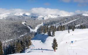 The Residences at Main Street Station, Breckenridge - Studio - Breckenridge, Colorado