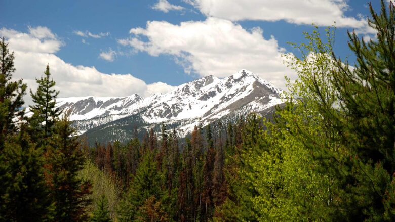 The Residences at Main Street Station, Breckenridge - Studio - Breckenridge, Colorado