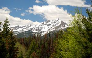 The Residences at Main Street Station, Breckenridge - Studio - Breckenridge, Colorado