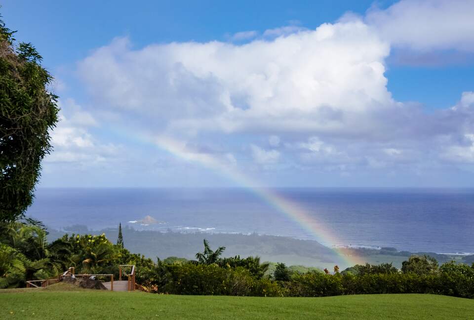 Just a part of the view from the lanai!