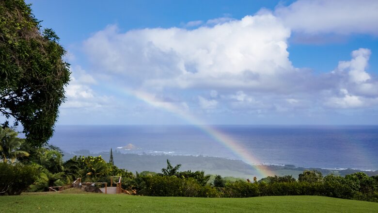 Just a part of the view from the lanai!