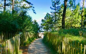 Monteagle Garden Apartment - Wells Next the Sea, United Kingdom