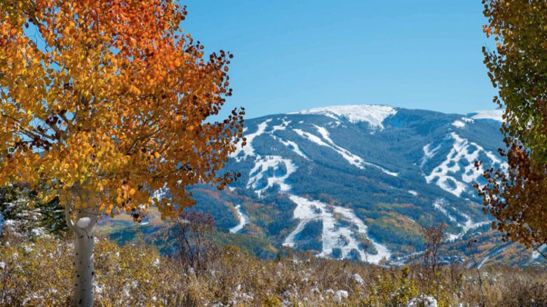The Residences at Park Hyatt Beaver Creek - Two-Bedroom - Beaver Creek, Colorado