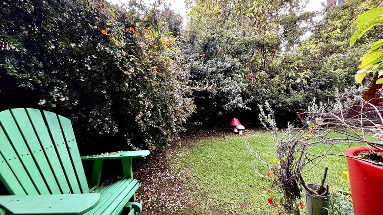 Peaceful Bogotá home surrounded by trees - Bogotá, Colombia