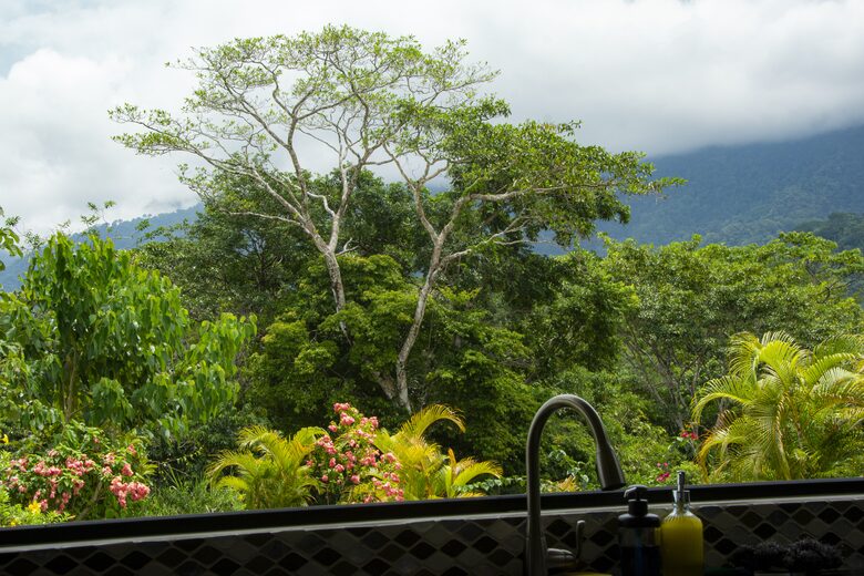 Casa Cascada Panoramic Views and Expansive kitchen - Ojochal, Costa Rica