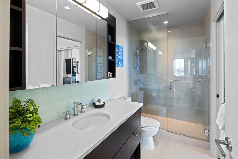 Luxury Condo with Stunning Vistas of the harbour, ocean and mountains - Victoria, Canada