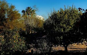 Rio Verde Retreat | Country Club Access with Private Pool and Amazing Views! - Rio Verde, Arizona