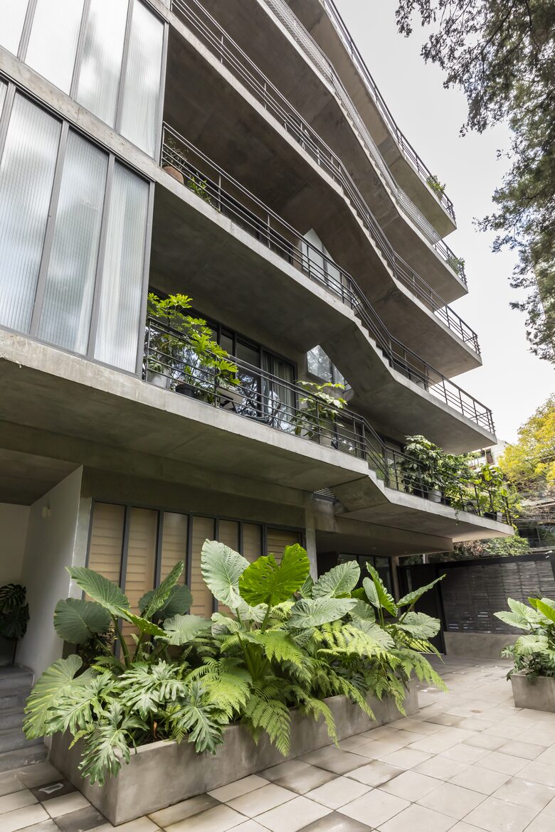 Unique Garden House - La Condesa Mexico City - CDMX, Mexico
