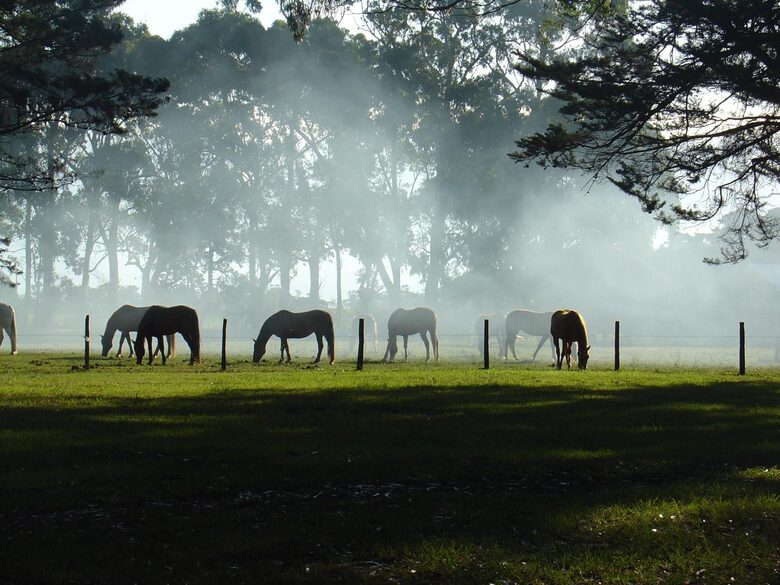 Santa Sylvina Estancia | Unforgettable Argentinian Estate | 250+ Acres | Beach and Golf Club Access! - Chapadmadal, Mar de Plata, Argentina