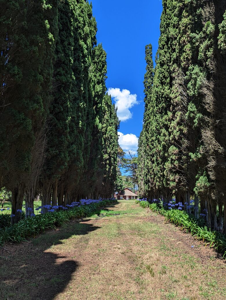 Santa Sylvina Estancia | Unforgettable Argentinian Estate | 250+ Acres | Beach and Golf Club Access! - Chapadmadal, Mar de Plata, Argentina