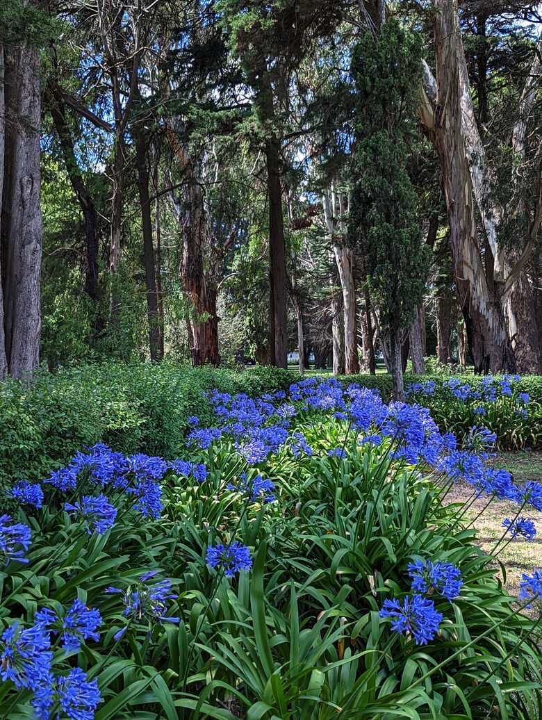 Santa Sylvina Estancia | Unforgettable Argentinian Estate | 250+ Acres | Beach and Golf Club Access! - Chapadmadal, Mar de Plata, Argentina