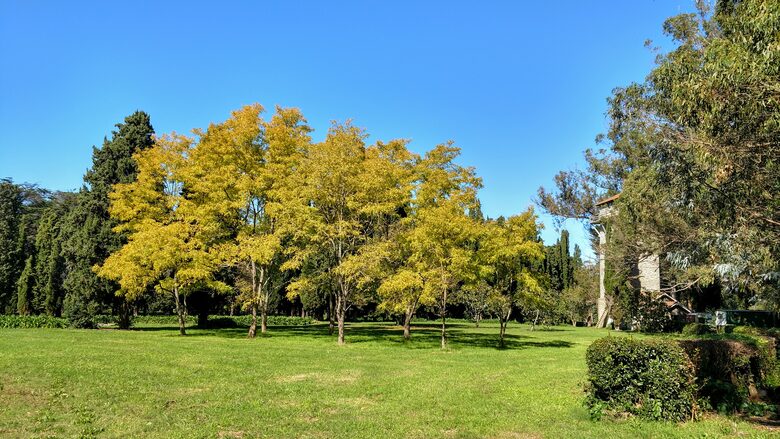 Santa Sylvina Estancia | Unforgettable Argentinian Estate | 250+ Acres | Beach and Golf Club Access! - Chapadmadal, Mar de Plata, Argentina