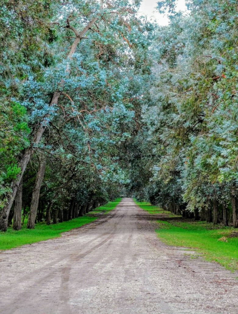 Santa Sylvina Estancia | Unforgettable Argentinian Estate | 250+ Acres | Beach and Golf Club Access! - Chapadmadal, Mar de Plata, Argentina
