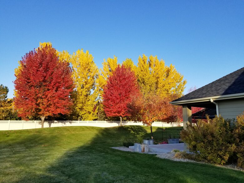 Spacious Idaho Getaway Minutes from Downtown Eagle - Eagle, Idaho