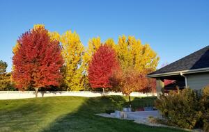 Spacious Idaho Getaway Minutes from Downtown Eagle - Eagle, Idaho