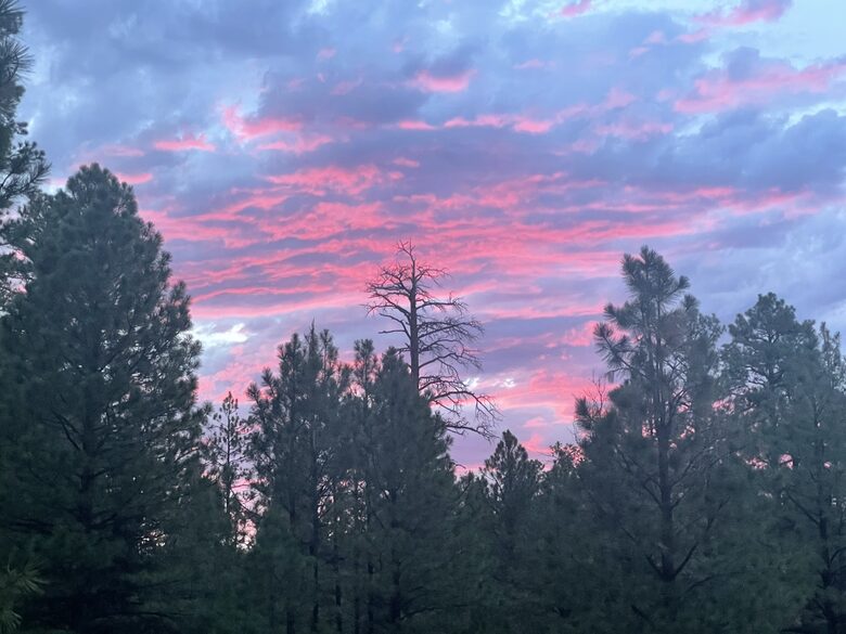 Large, Modern, Brand-new Cabin | On private 6 acres bordering national forest - Happy Jack, Arizona