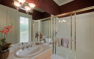 Study bath