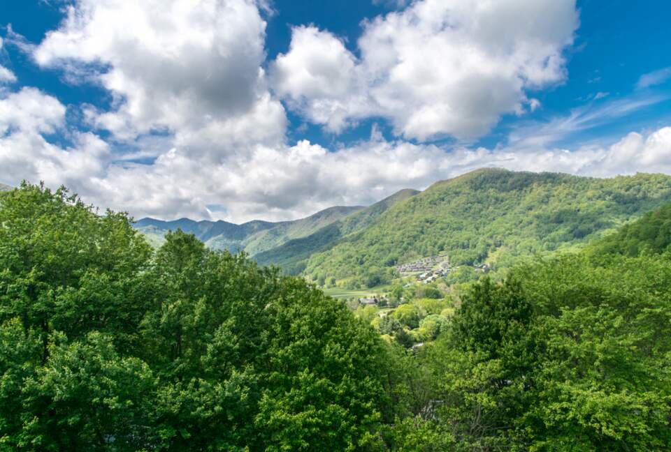 Modern Maggie Valley Getaway - Maggie Valley, North Carolina