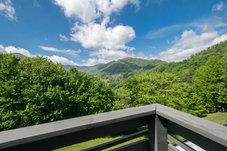 Modern Maggie Valley Getaway - Maggie Valley, North Carolina