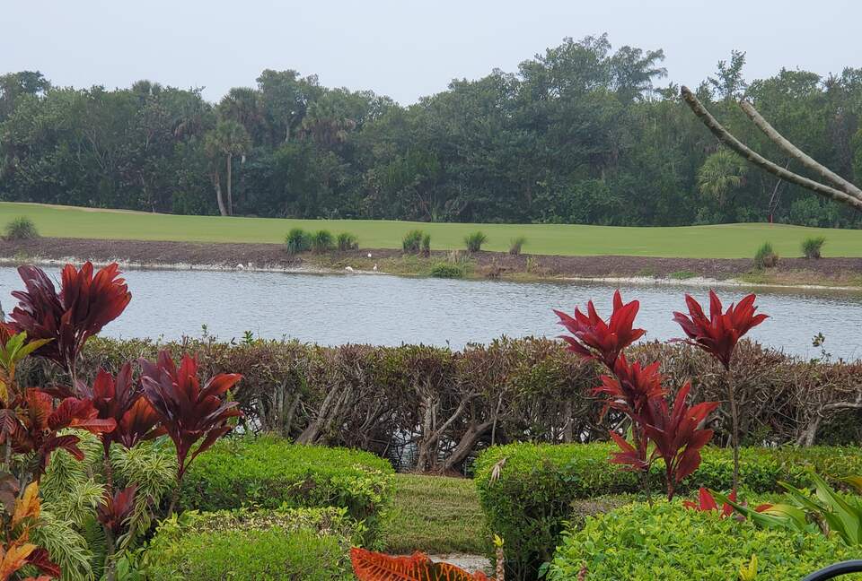 Golf course view from backyard